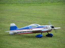 Flugtage