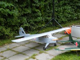 Flugtage