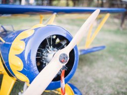 Flugtage