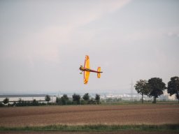 Flugtage