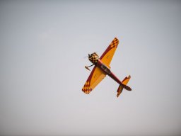 Flugtage