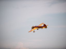 Flugtage
