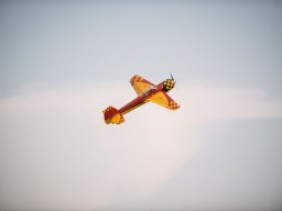 Flugtage