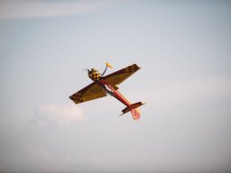 Flugtage