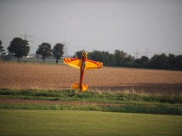 Flugtage