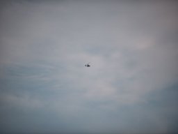Flugtage