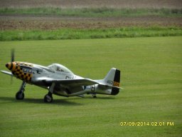 Flugtage