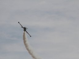 Flugtage