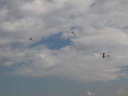 Flugtage