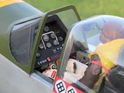 Flugtage