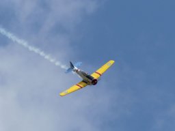 Flugtage