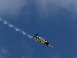 Flugtage
