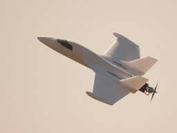 Flugtage
