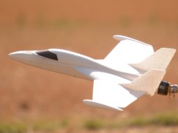 Flugtage