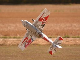 Flugtage