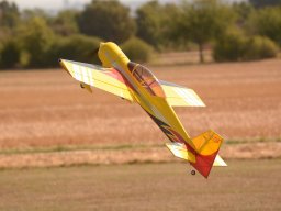 Flugtage