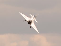 Flugtage