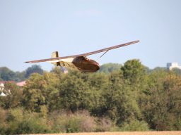 Flugtage