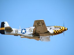 Flugtage
