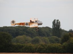 Flugtage