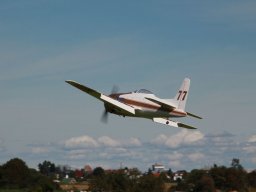 Flugtage