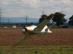 Flugtage