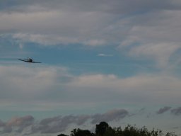 Flugtage